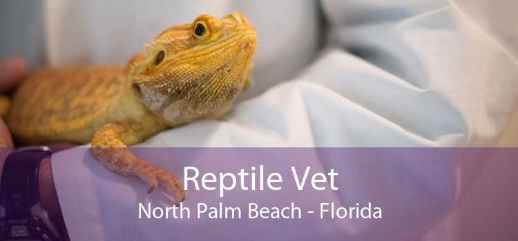 Reptile Vet North Palm Beach - Florida