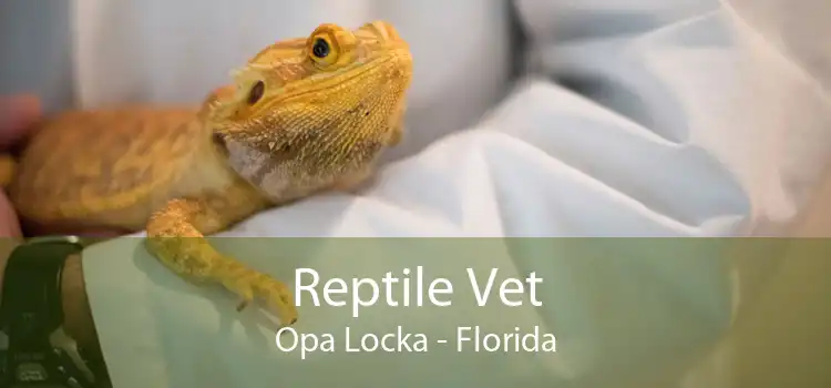 Reptile Vet Opa Locka - Florida