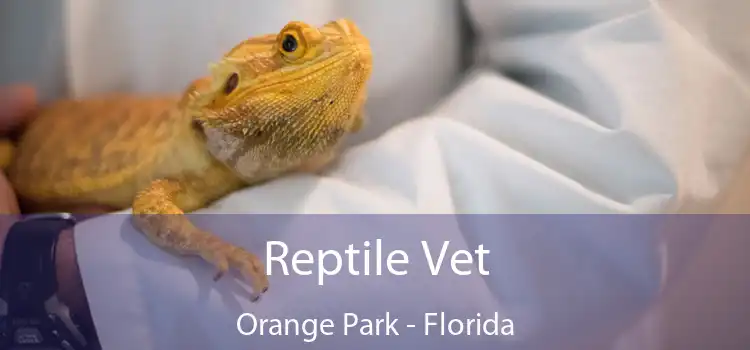 Reptile Vet Orange Park - Florida