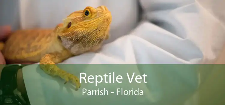 Reptile Vet Parrish - Florida