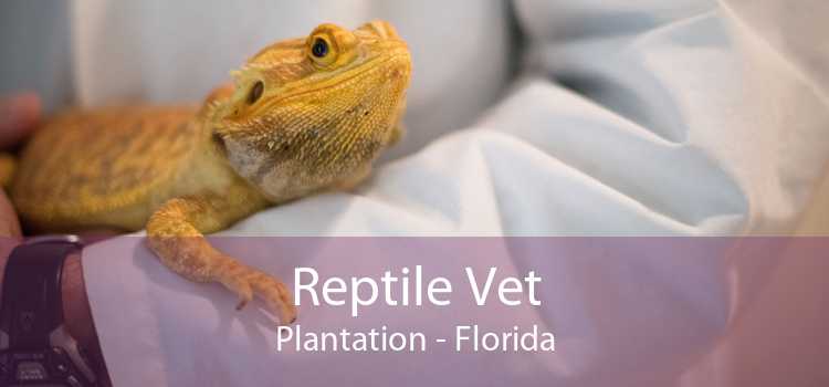 Reptile Vet Plantation - Florida