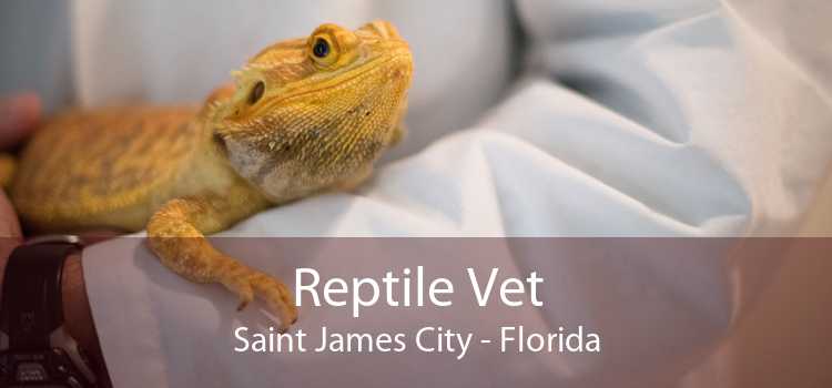 Reptile Vet Saint James City - Florida