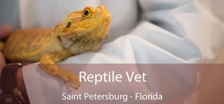 Reptile Vet Saint Petersburg - Florida