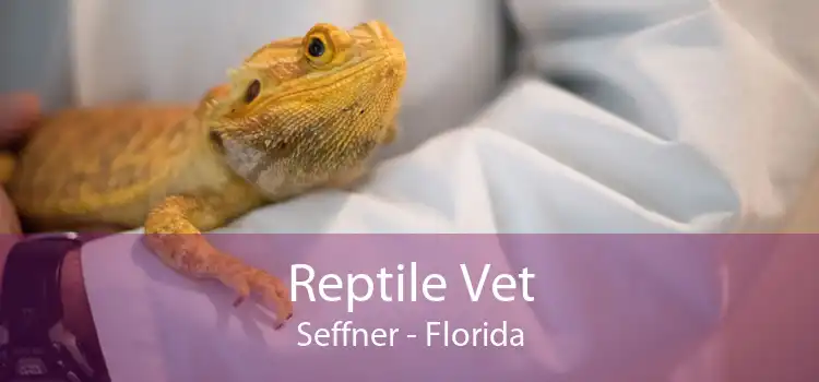 Reptile Vet Seffner - Florida