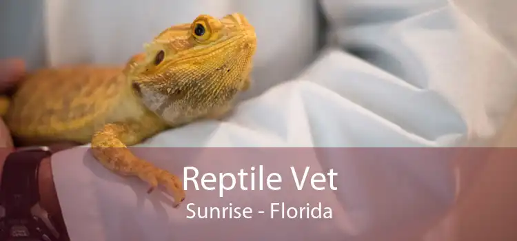 Reptile Vet Sunrise - Florida