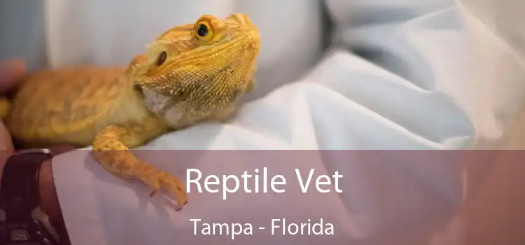 Reptile Vet Tampa - Florida