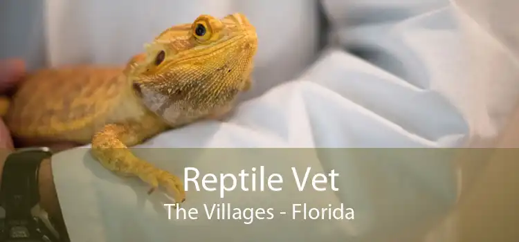 Reptile Vet The Villages - Florida