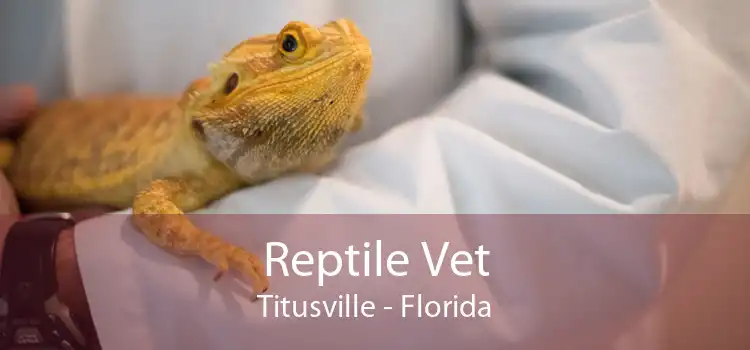 Reptile Vet Titusville - Florida