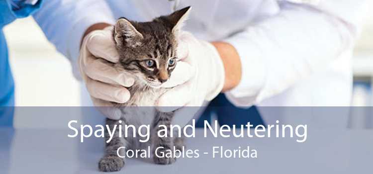 Spaying and Neutering Coral Gables - Florida