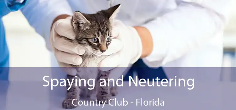 Spaying and Neutering Country Club - Florida