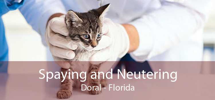 Spaying and Neutering Doral - Florida