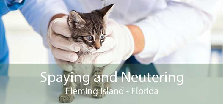 Spaying and Neutering Fleming Island - Florida