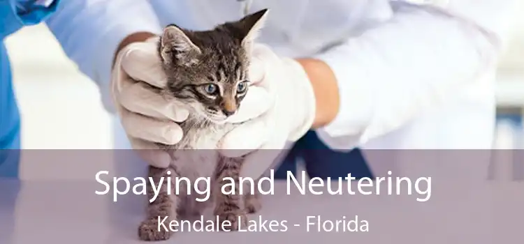 Spaying and Neutering Kendale Lakes - Florida