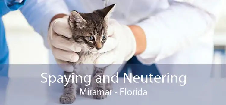 Spaying and Neutering Miramar - Florida