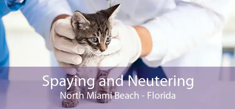 Spaying and Neutering North Miami Beach - Florida