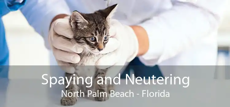 Spaying and Neutering North Palm Beach - Florida