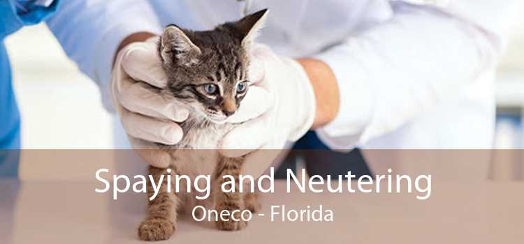 Spaying and Neutering Oneco - Florida