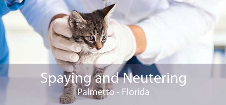 Spaying and Neutering Palmetto - Florida