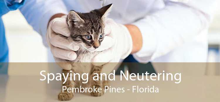 Spaying and Neutering Pembroke Pines - Florida