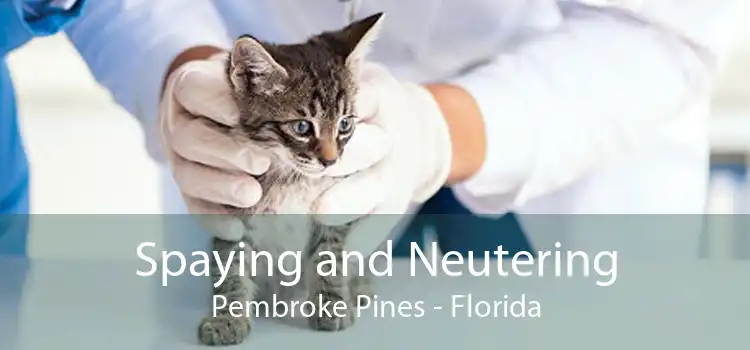 Spaying and Neutering Pembroke Pines - Florida