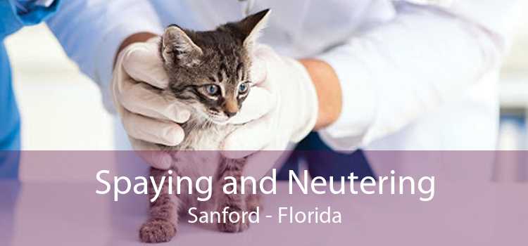 Spaying and Neutering Sanford - Florida