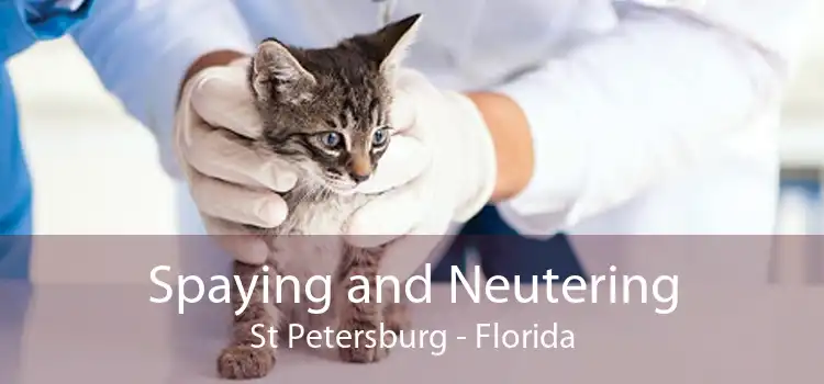 Spaying and Neutering St Petersburg - Florida