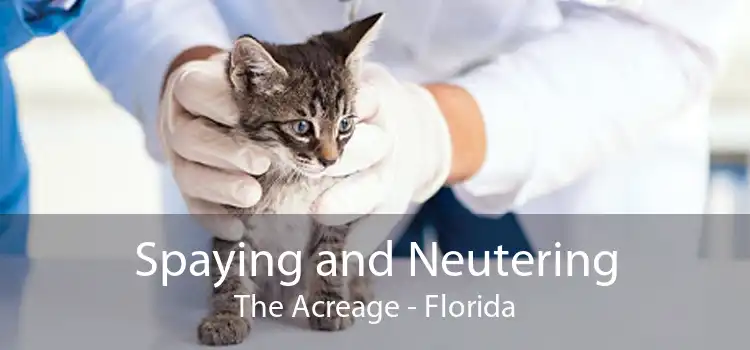 Spaying and Neutering The Acreage - Florida