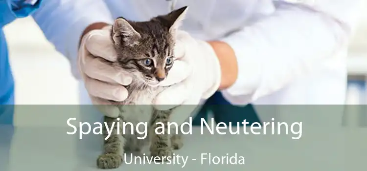 Spaying and Neutering University - Florida