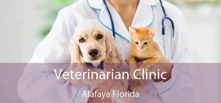 Veterinarian Clinic Alafaya Florida