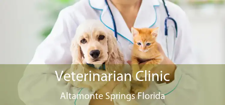 Veterinarian Clinic Altamonte Springs Florida