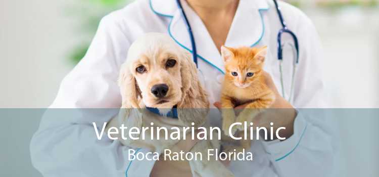 Veterinarian Clinic Boca Raton Florida