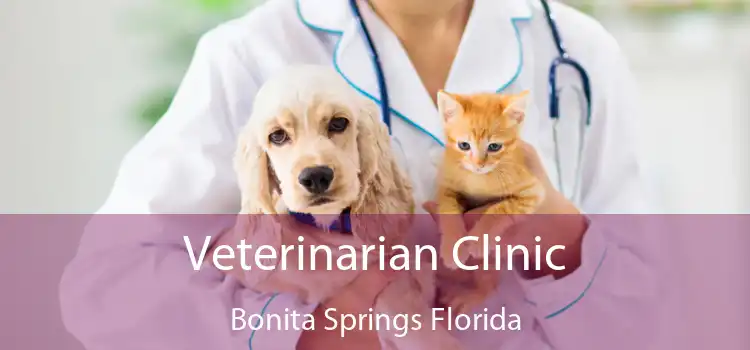 Veterinarian Clinic Bonita Springs Florida