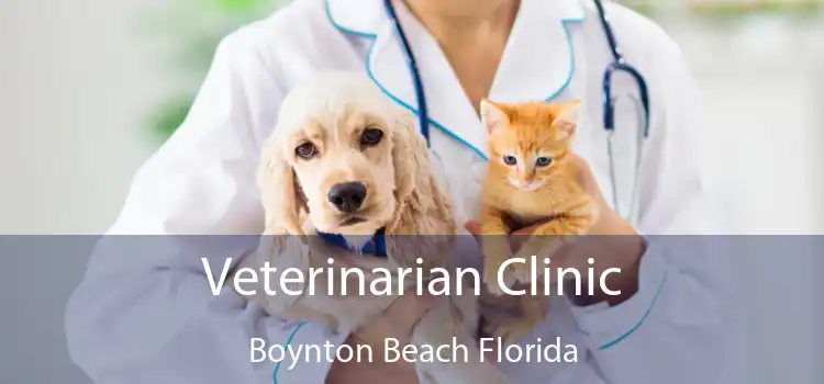 Veterinarian Clinic Boynton Beach Florida