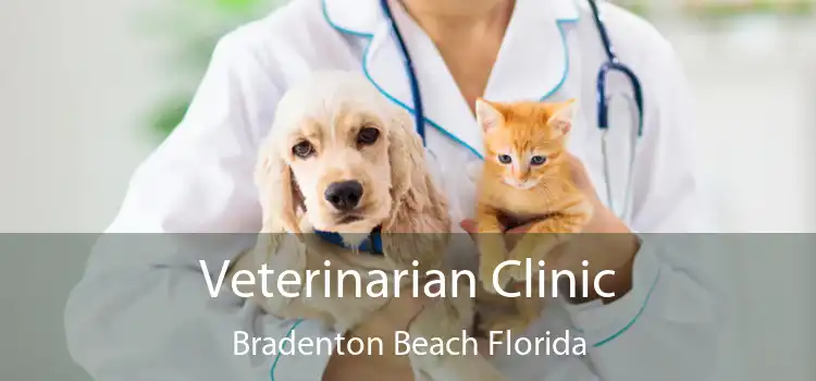 Veterinarian Clinic Bradenton Beach Florida