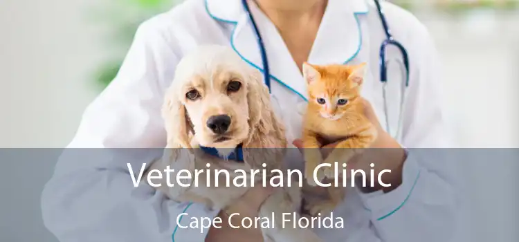 Veterinarian Clinic Cape Coral Florida