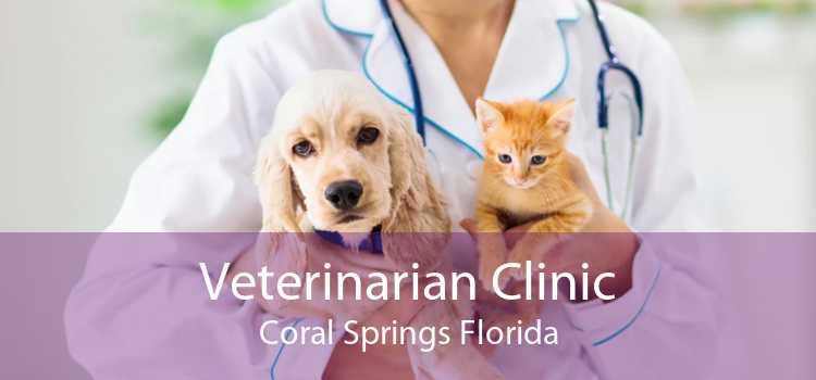 Veterinarian Clinic Coral Springs Florida