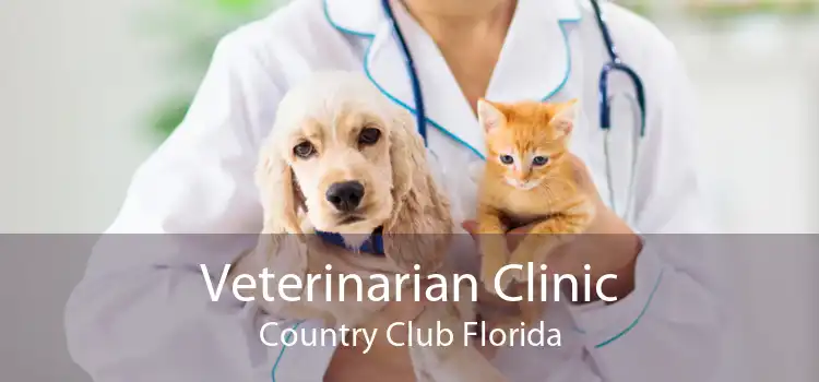 Veterinarian Clinic Country Club Florida