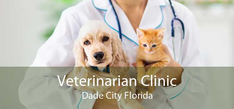 Veterinarian Clinic Dade City Florida