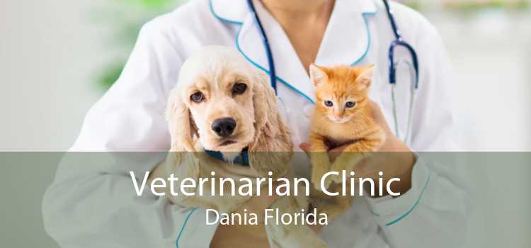 Veterinarian Clinic Dania Florida