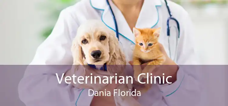 Veterinarian Clinic Dania Florida