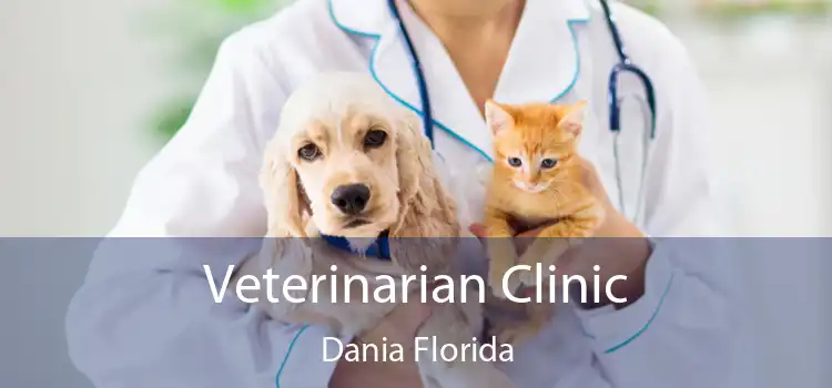 Veterinarian Clinic Dania Florida