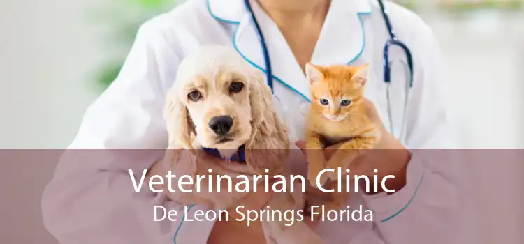 Veterinarian Clinic De Leon Springs Florida