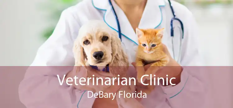 Veterinarian Clinic DeBary Florida