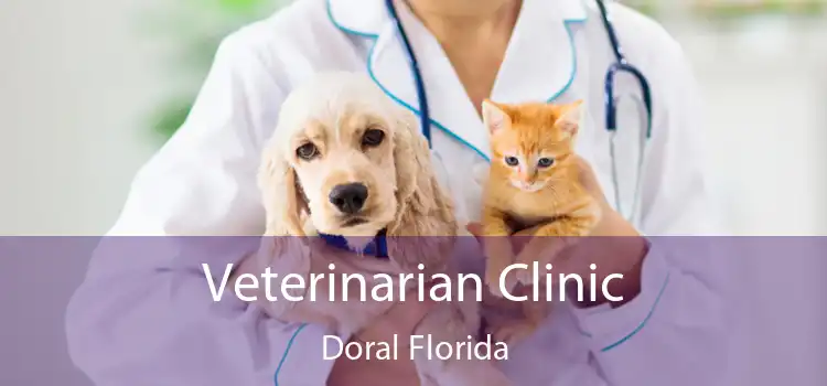 Veterinarian Clinic Doral Florida