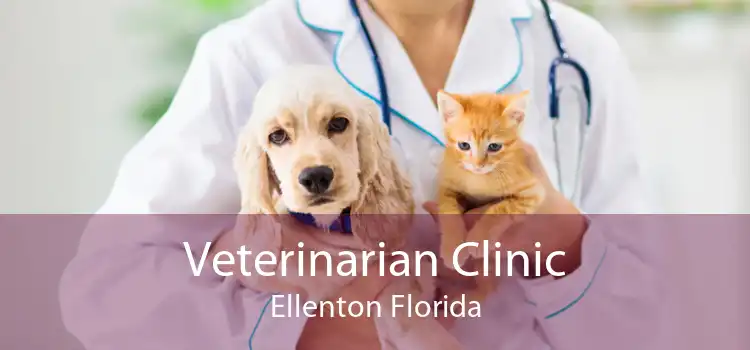 Veterinarian Clinic Ellenton Florida