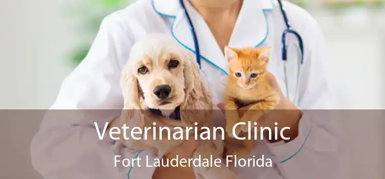 Veterinarian Clinic Fort Lauderdale Florida