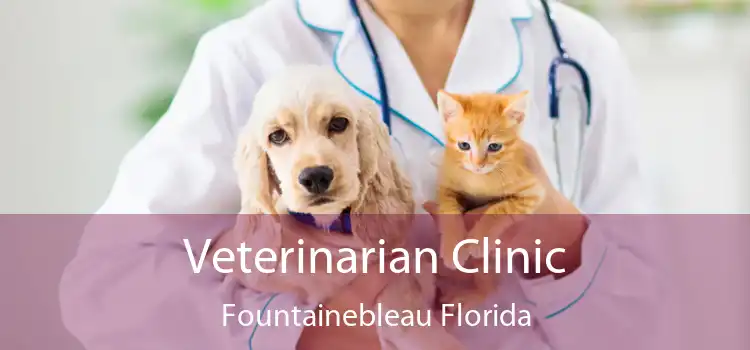 Veterinarian Clinic Fountainebleau Florida