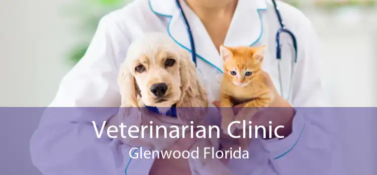 Veterinarian Clinic Glenwood Florida
