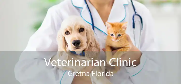 Veterinarian Clinic Gretna Florida