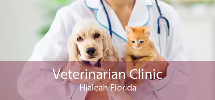 Veterinarian Clinic Hialeah Florida